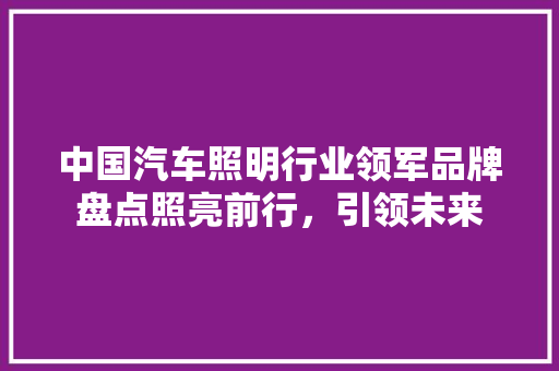 中国汽车照明行业领军品牌盘点照亮前行，引领未来