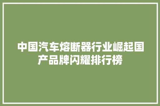 中国汽车熔断器行业崛起国产品牌闪耀排行榜