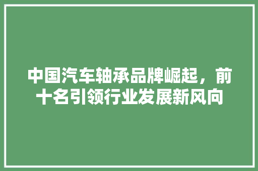 中国汽车轴承品牌崛起，前十名引领行业发展新风向
