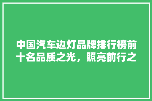 中国汽车边灯品牌排行榜前十名品质之光，照亮前行之路