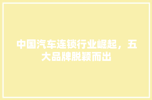 中国汽车连锁行业崛起，五大品牌脱颖而出