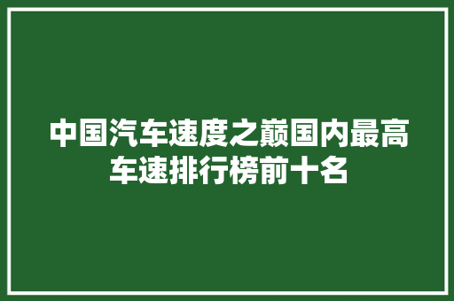 中国汽车速度之巅国内最高车速排行榜前十名