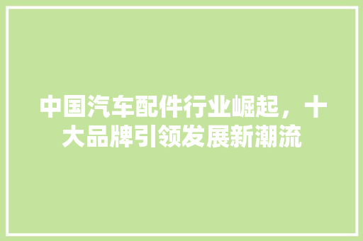 中国汽车配件行业崛起，十大品牌引领发展新潮流