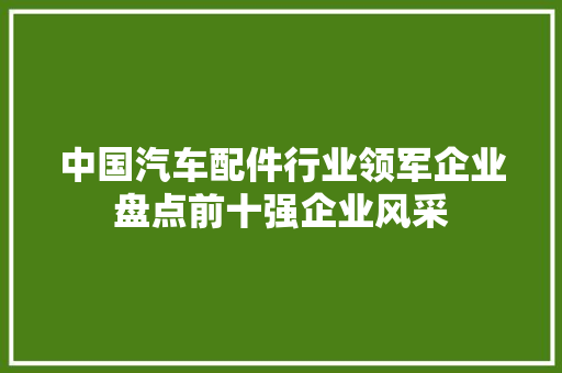 中国汽车配件行业领军企业盘点前十强企业风采
