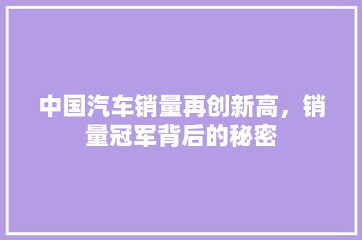 中国汽车销量再创新高，销量冠军背后的秘密
