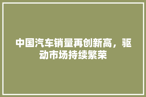 中国汽车销量再创新高，驱动市场持续繁荣