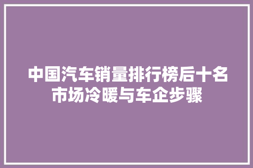 中国汽车销量排行榜后十名市场冷暖与车企步骤