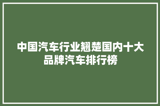 中国汽车行业翘楚国内十大品牌汽车排行榜