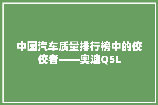 中国汽车质量排行榜中的佼佼者——奥迪Q5L