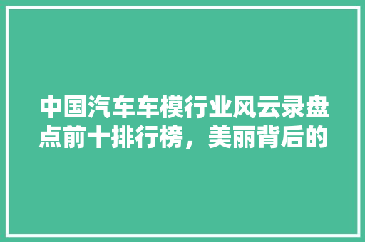 中国汽车车模行业风云录盘点前十排行榜，美丽背后的故事