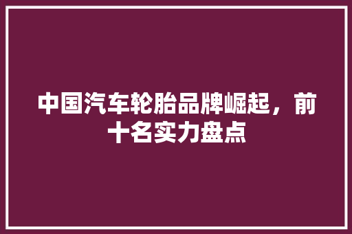 中国汽车轮胎品牌崛起，前十名实力盘点