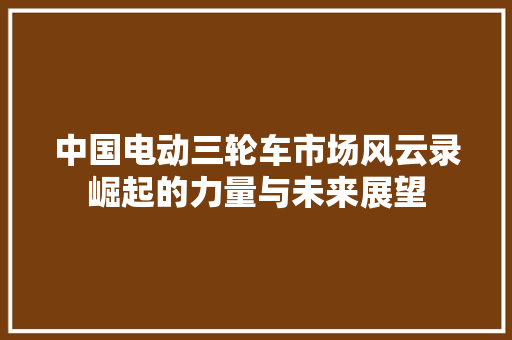 中国电动三轮车市场风云录崛起的力量与未来展望