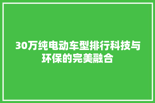 30万纯电动车型排行科技与环保的完美融合