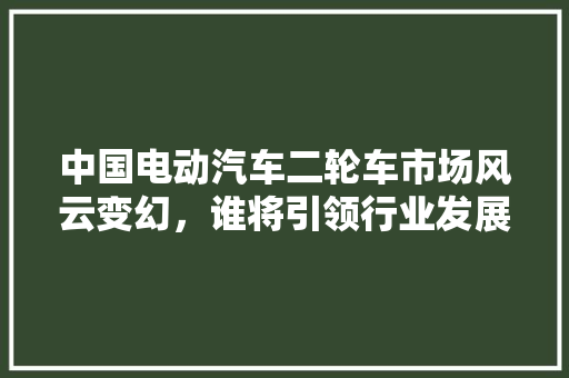 中国电动汽车二轮车市场风云变幻，谁将引领行业发展