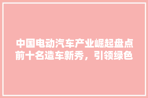 中国电动汽车产业崛起盘点前十名造车新秀，引领绿色出行新时代