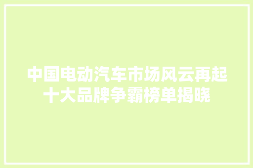 中国电动汽车市场风云再起十大品牌争霸榜单揭晓