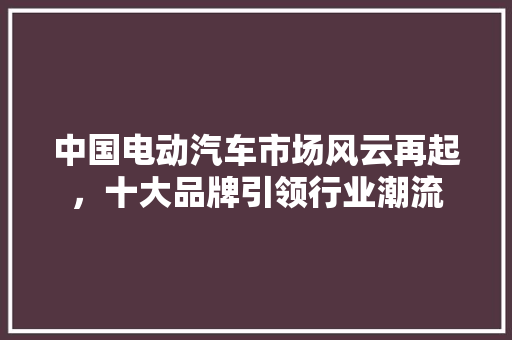 中国电动汽车市场风云再起，十大品牌引领行业潮流