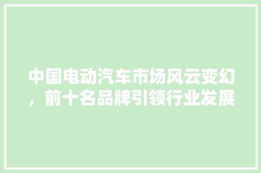 中国电动汽车市场风云变幻，前十名品牌引领行业发展
