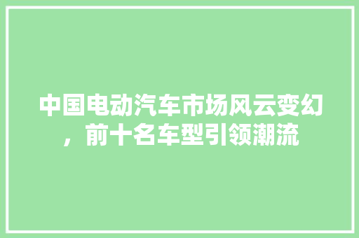 中国电动汽车市场风云变幻，前十名车型引领潮流