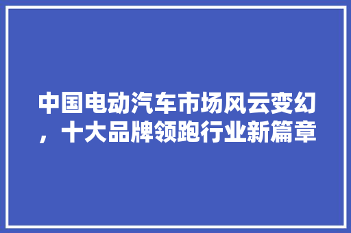 中国电动汽车市场风云变幻，十大品牌领跑行业新篇章