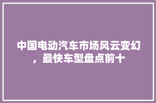 中国电动汽车市场风云变幻，最快车型盘点前十