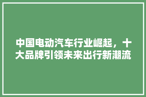 中国电动汽车行业崛起，十大品牌引领未来出行新潮流