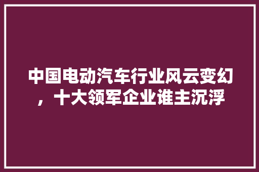 中国电动汽车行业风云变幻，十大领军企业谁主沉浮