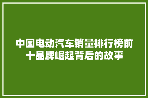 中国电动汽车销量排行榜前十品牌崛起背后的故事