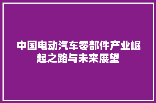 中国电动汽车零部件产业崛起之路与未来展望