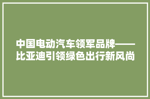 中国电动汽车领军品牌——比亚迪引领绿色出行新风尚