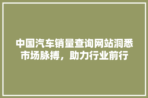 中国汽车销量查询网站洞悉市场脉搏，助力行业前行