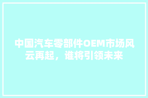 中国汽车零部件OEM市场风云再起，谁将引领未来