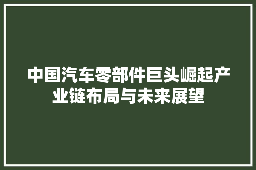 中国汽车零部件巨头崛起产业链布局与未来展望