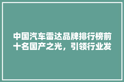 中国汽车雷达品牌排行榜前十名国产之光，引领行业发展