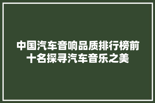 中国汽车音响品质排行榜前十名探寻汽车音乐之美