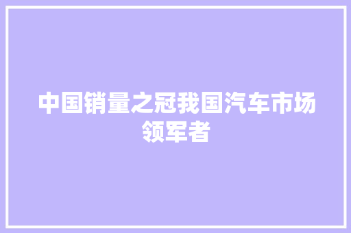中国销量之冠我国汽车市场领军者