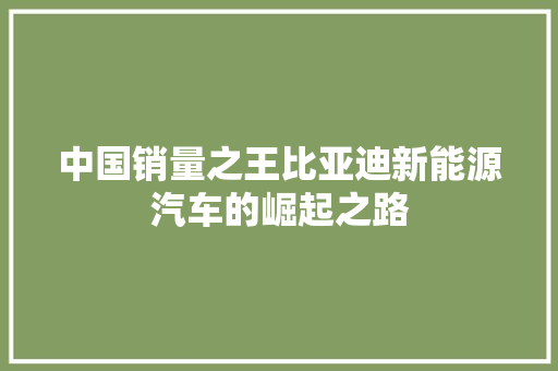 中国销量之王比亚迪新能源汽车的崛起之路