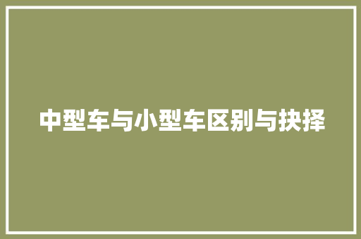 中型车与小型车区别与抉择