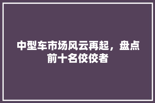 中型车市场风云再起，盘点前十名佼佼者