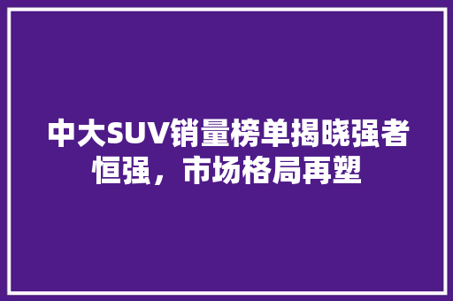 中大SUV销量榜单揭晓强者恒强，市场格局再塑