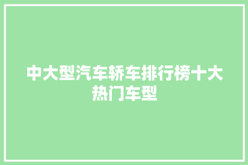 中大型汽车轿车排行榜十大热门车型