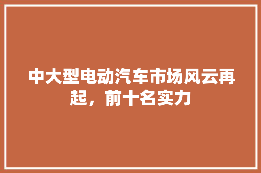 中大型电动汽车市场风云再起，前十名实力