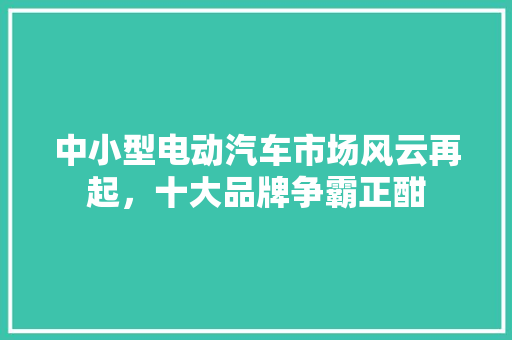 中小型电动汽车市场风云再起，十大品牌争霸正酣