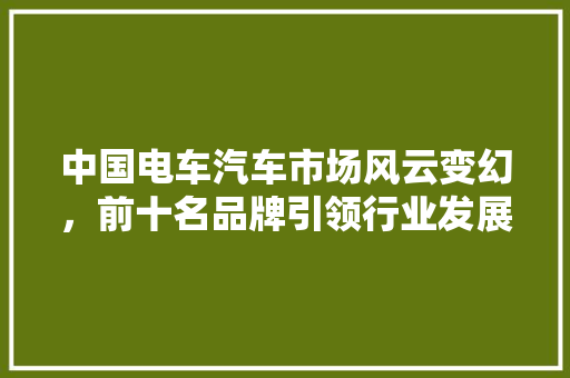中国电车汽车市场风云变幻，前十名品牌引领行业发展