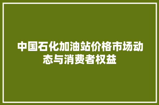中国石化加油站价格市场动态与消费者权益