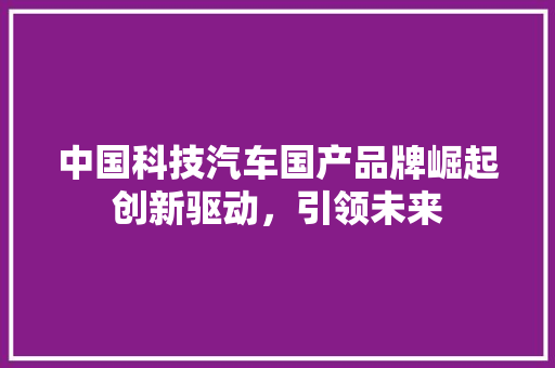 中国科技汽车国产品牌崛起创新驱动，引领未来