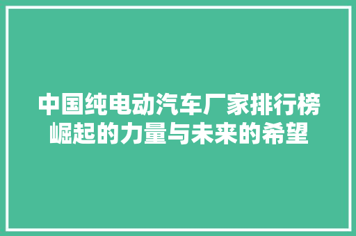 中国纯电动汽车厂家排行榜崛起的力量与未来的希望