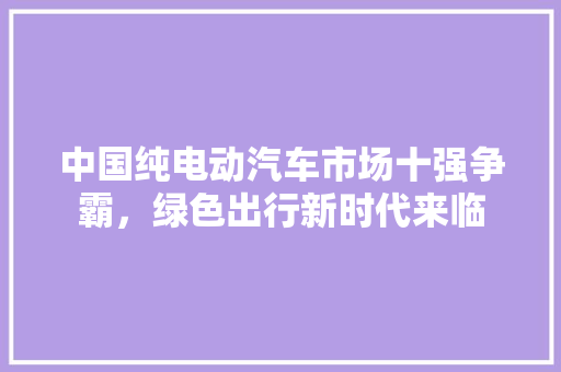 中国纯电动汽车市场十强争霸，绿色出行新时代来临