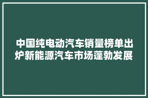 中国纯电动汽车销量榜单出炉新能源汽车市场蓬勃发展
