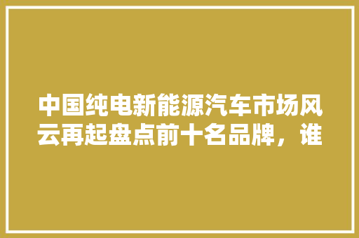中国纯电新能源汽车市场风云再起盘点前十名品牌，谁将引领未来